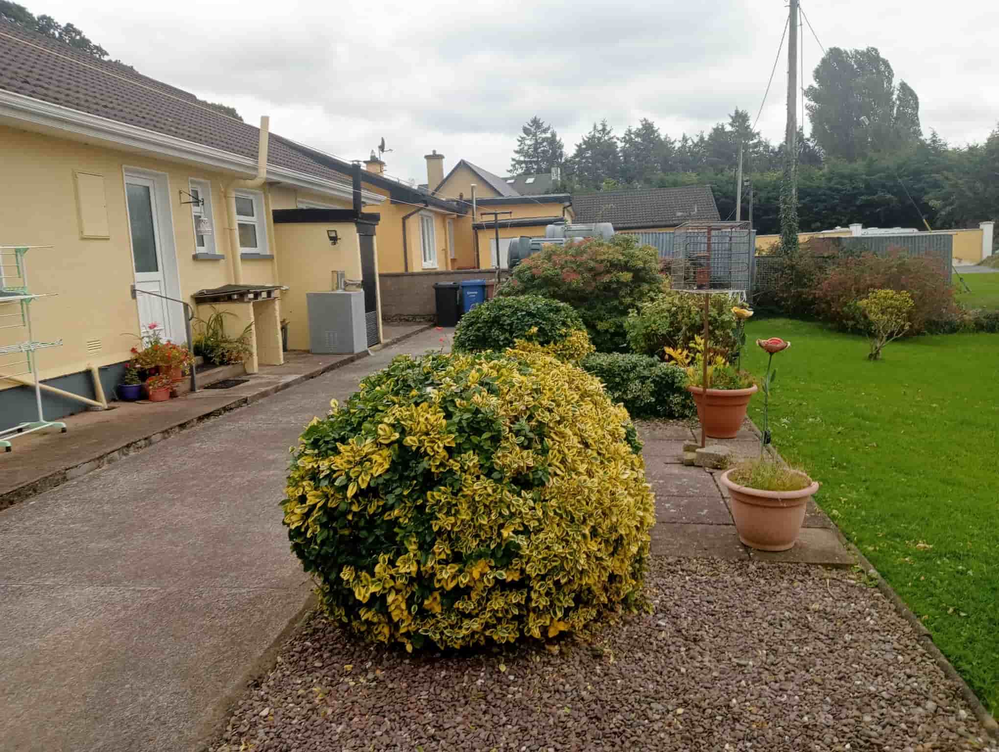 Back garden image in co. cork